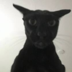 Evil LarryLOGO