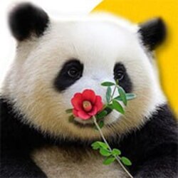 花花 (flower flower)LOGO