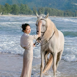 马到成功 (Success)LOGO