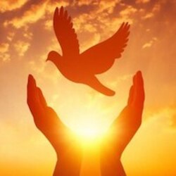 世界和平 (World Peace)LOGO