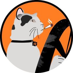 Cat Driving BitcoinLOGO