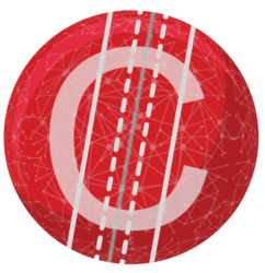 Cricket FoundationLOGO