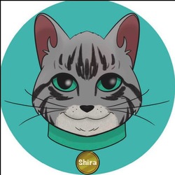 Shira CatLOGO