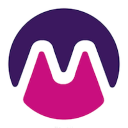 Florence Finance MediciLOGO