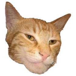 Giga CatLOGO