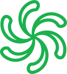 RapidsLOGO