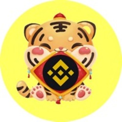 BNB TigerLOGO