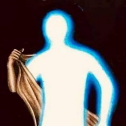 Divinely ProtectedLOGO