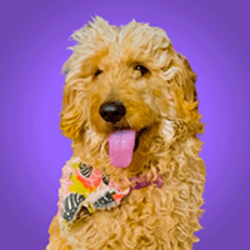 First AI Owned DogLOGO