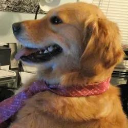 ghffb47yii2rteeyy10opLOGO