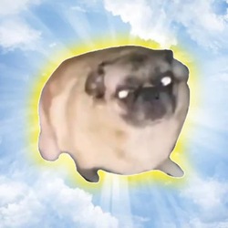 Happy DogLOGO