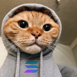 Hood CatLOGO