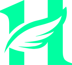 HyperFlyLOGO