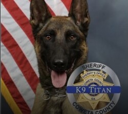 K-9 Killed in ShootoutLOGO