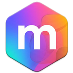 META FINANCIAL AILOGO