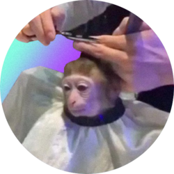 monkeyhaircutLOGO