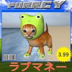 PurrcyLOGO