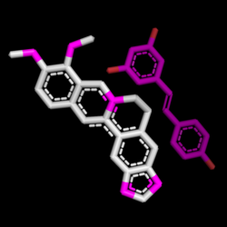Resveratrol & BerberineLOGO