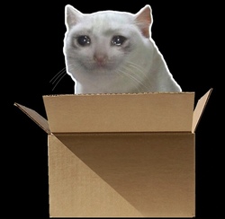 Schrodinger's CoinLOGO