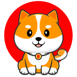 Shiba Floki InuLOGO