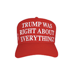 Trump Was Right About EverythingLOGO