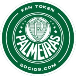 Wrapped Palmeiras (Kayen)LOGO
