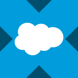 Wrapped Salesforce xStockLOGO